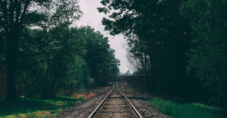 Tracks - Train Track Surrounded by Trees