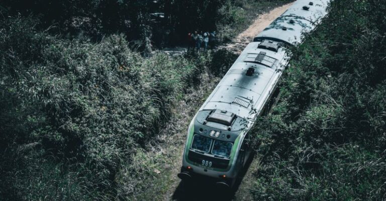 Tracks - A train traveling down a track next to trees