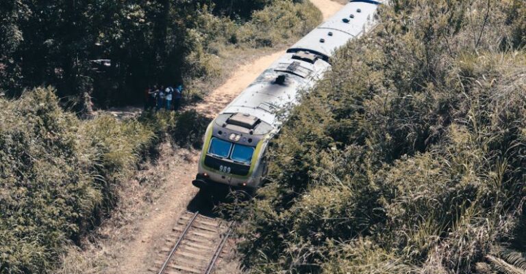 Tracks - A train traveling down a track next to a forest